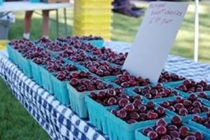 Close of photo of cartons of fresh cherries at farmers market